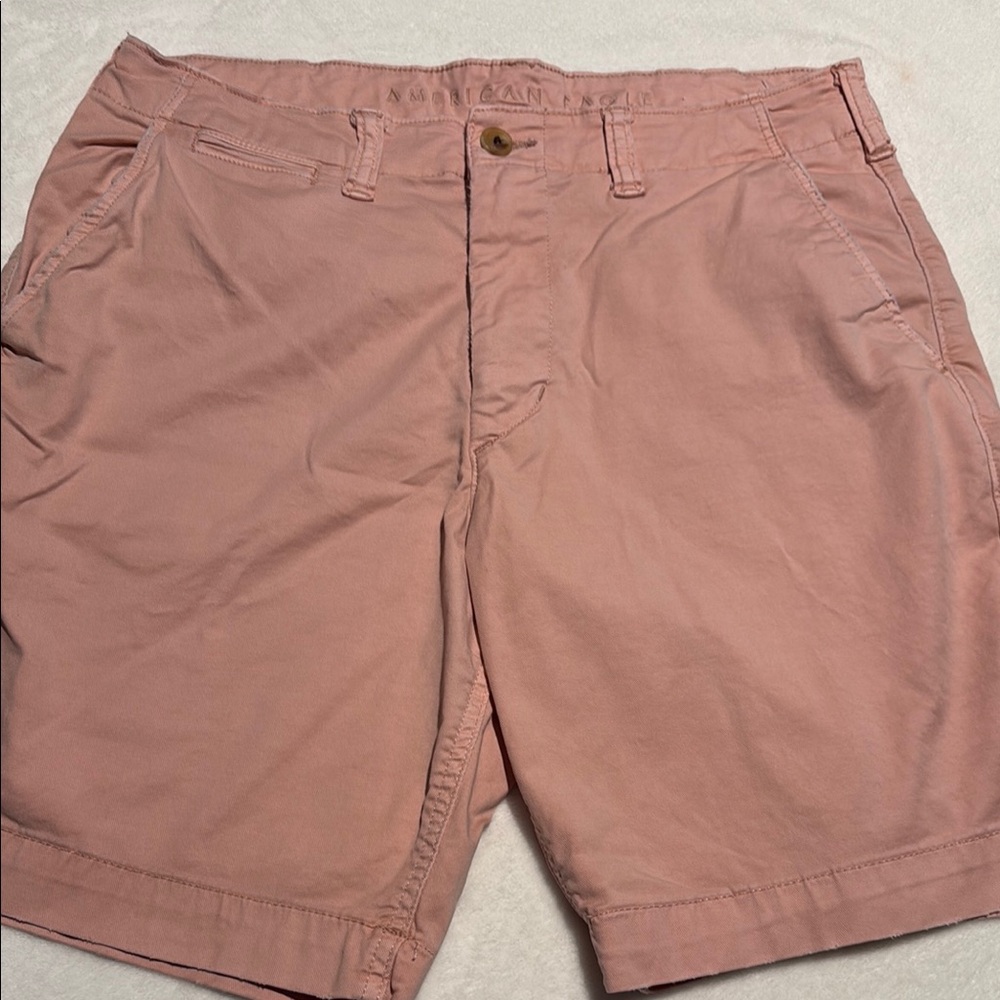 American Eagle Outfitters Pink Flat Front Shorts